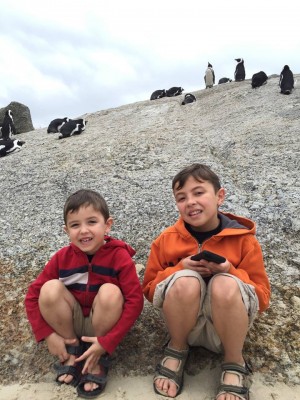 Sons & penguins at Boulder's Beach in Cape Town, South Africa. 