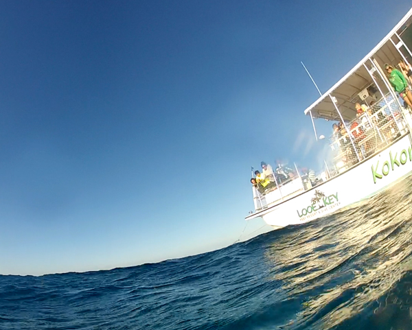 Look Key Dive Centre and Resort