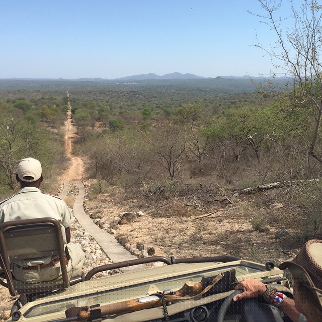 Safari photos, composition in smartphone photography, shot on iPhone 4s by Andrea Rees.