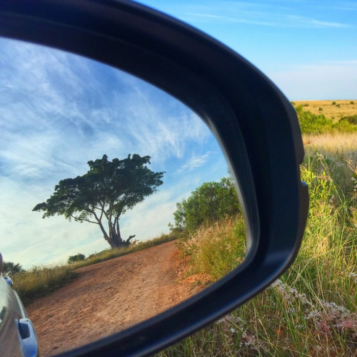 iPhone photography, Shot on iPhone 5s by Andrea Rees in Addo Elephant Park