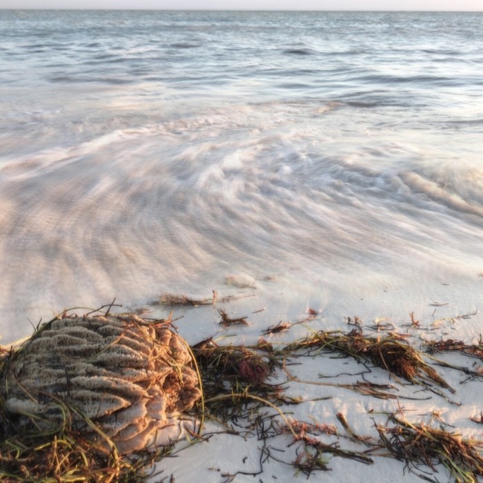 bahia honda tide