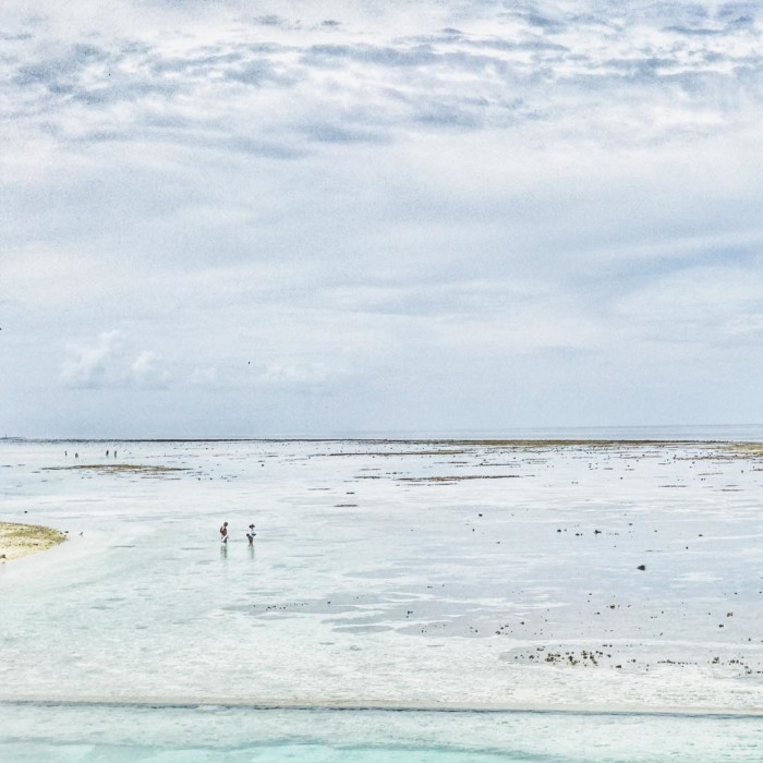 Heron Island Queensland Australia