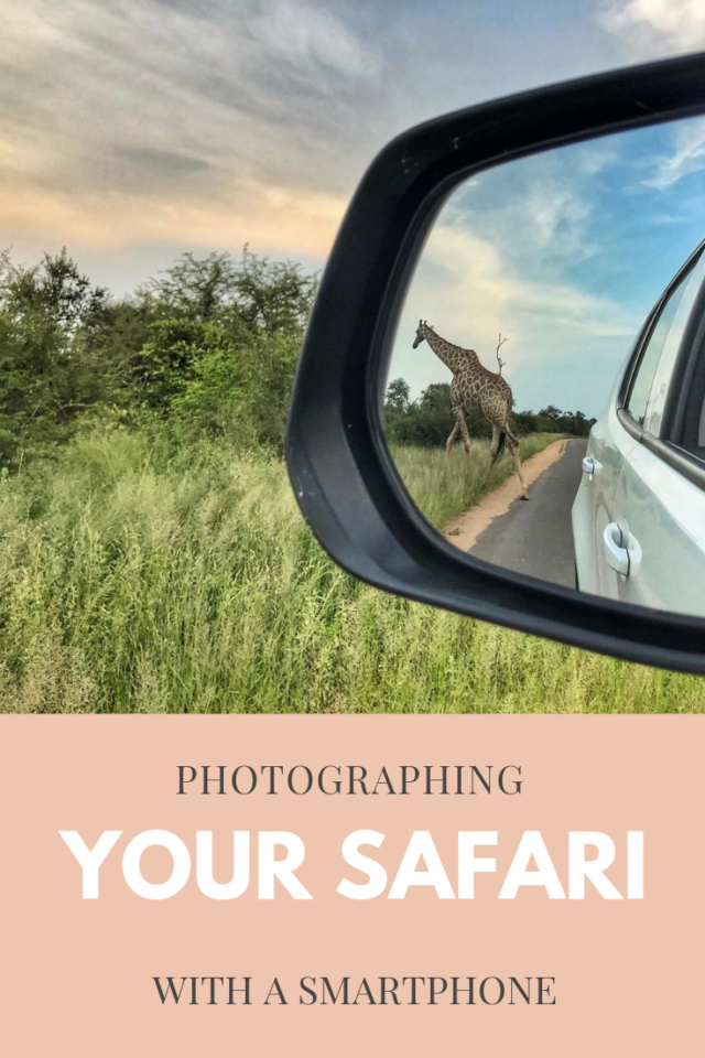 Photographing your safari with a smartphone. Safari photos with moment lens  | wanderingiphone.com