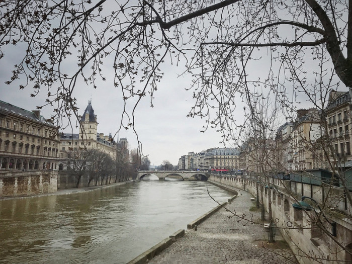 The Seine