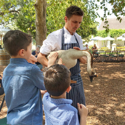 My boys introduced to Rocco by Chef Ryan at Vergenoegd Wine Estate