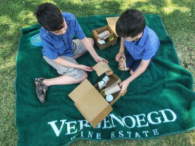 Vergenoegd Picnic for kids