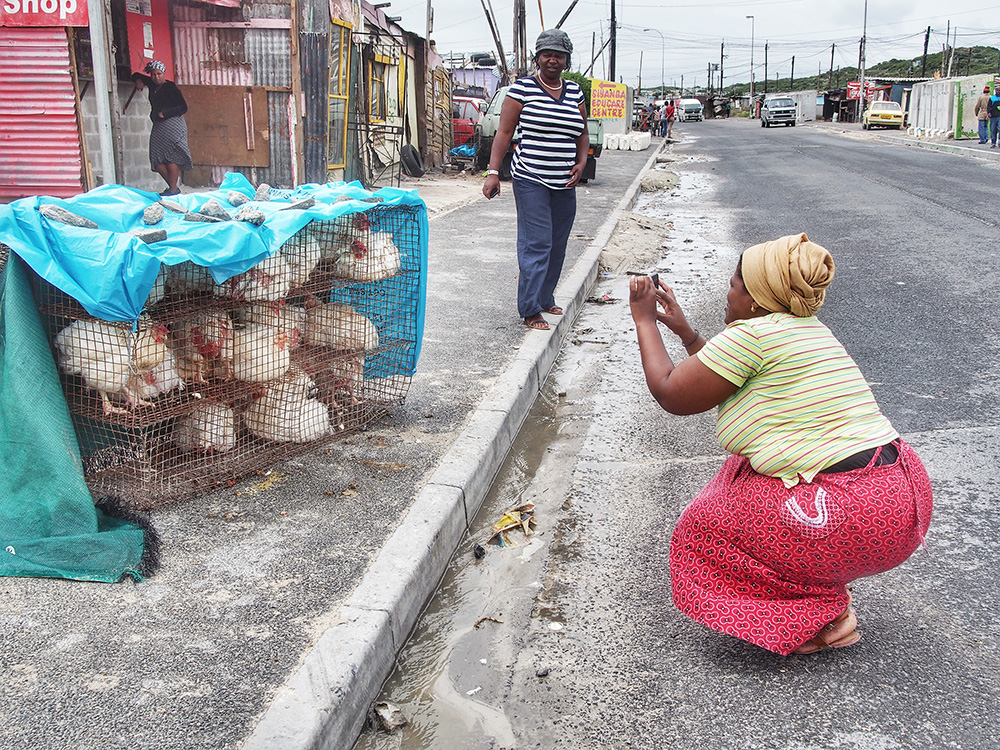 Veliswa Wowo, a married mother of 4 and a founding member of The Heart of a Woman Project in South Africa photographs live chickens in Khayelitsha. Inspired by the model of education and empowerment through the arts, I founded The Heart of a Woman Project, an initiative that partners with non-profit organizations focused on women’s empowerment and skills development. The goal is to educate women impacted by poverty in mobile photography, technology and social media using donated previously owned iPhones. It aims to empower women to have a voice, a creative outlet and sustainable income through the sales of photographic products. I returned to eKhaya eKasi in November 2013 to pilot the program with 9 participants over an 11-day workshop.