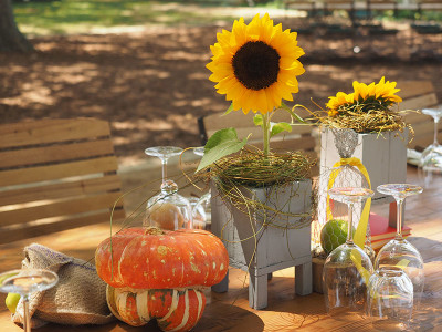 Vergenoegd long table setting